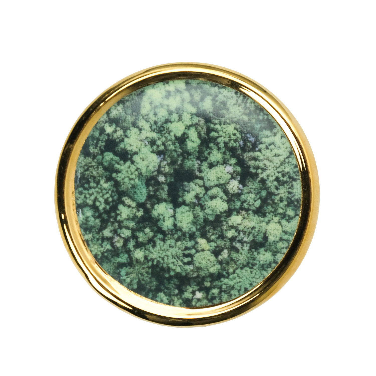 Vela Py’a + Lucas Lenci “ Floresta de Bolso “ P