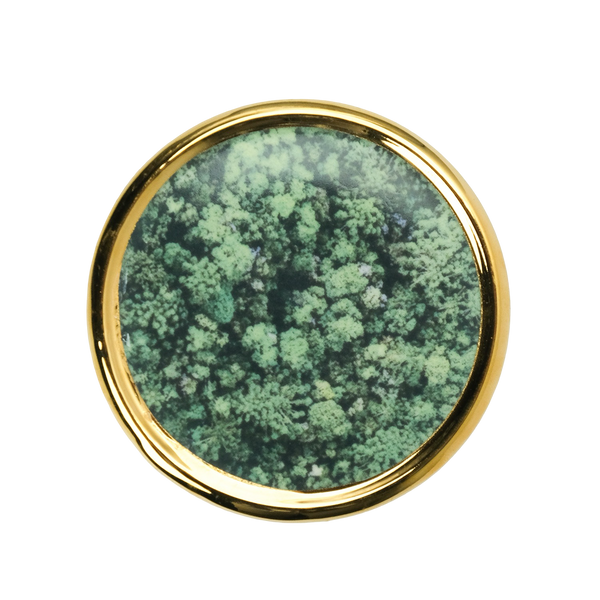 Vela Py’a + Lucas Lenci “ Floresta de Bolso “ P