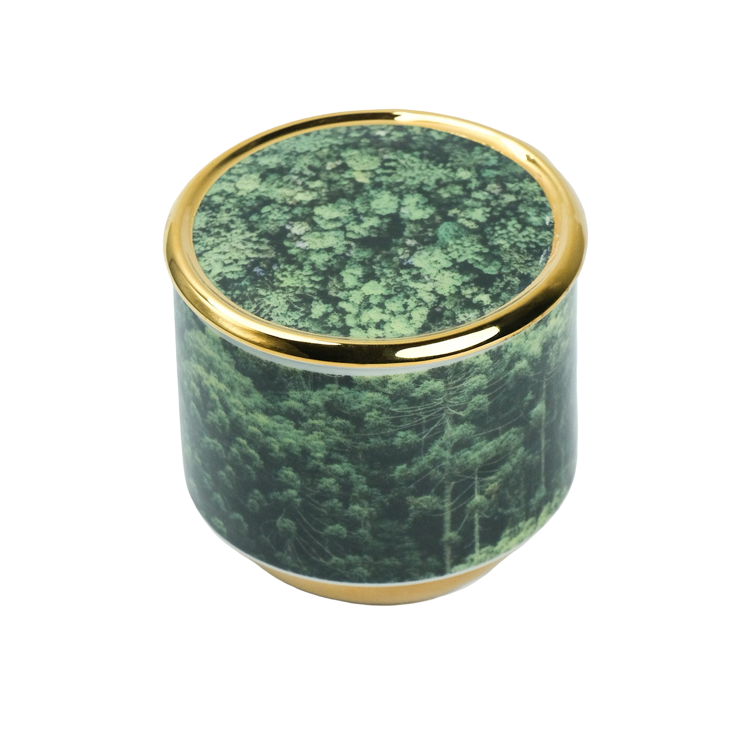 Vela Py’a + Lucas Lenci “ Floresta de Bolso “ P