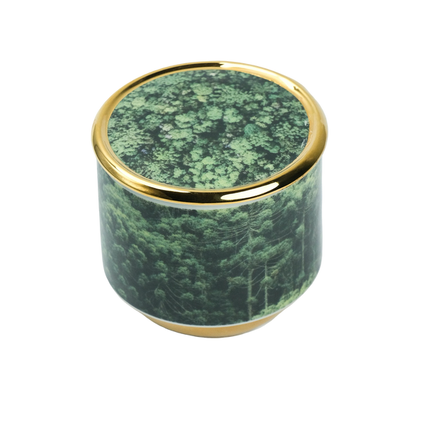 Vela Py’a + Lucas Lenci “ Floresta de Bolso “ P