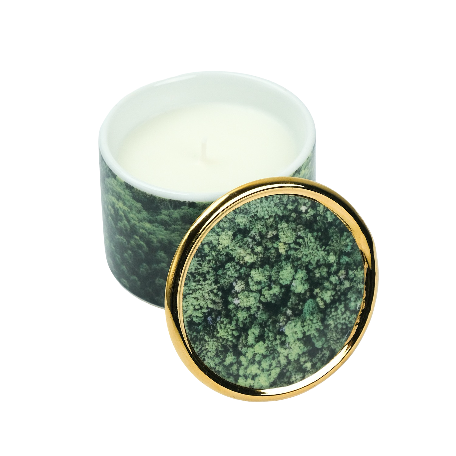 Vela Py’a + Lucas Lenci “ Floresta de Bolso “ P