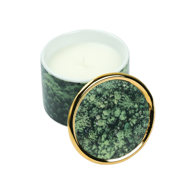 Vela Py’a + Lucas Lenci “ Floresta de Bolso “ P