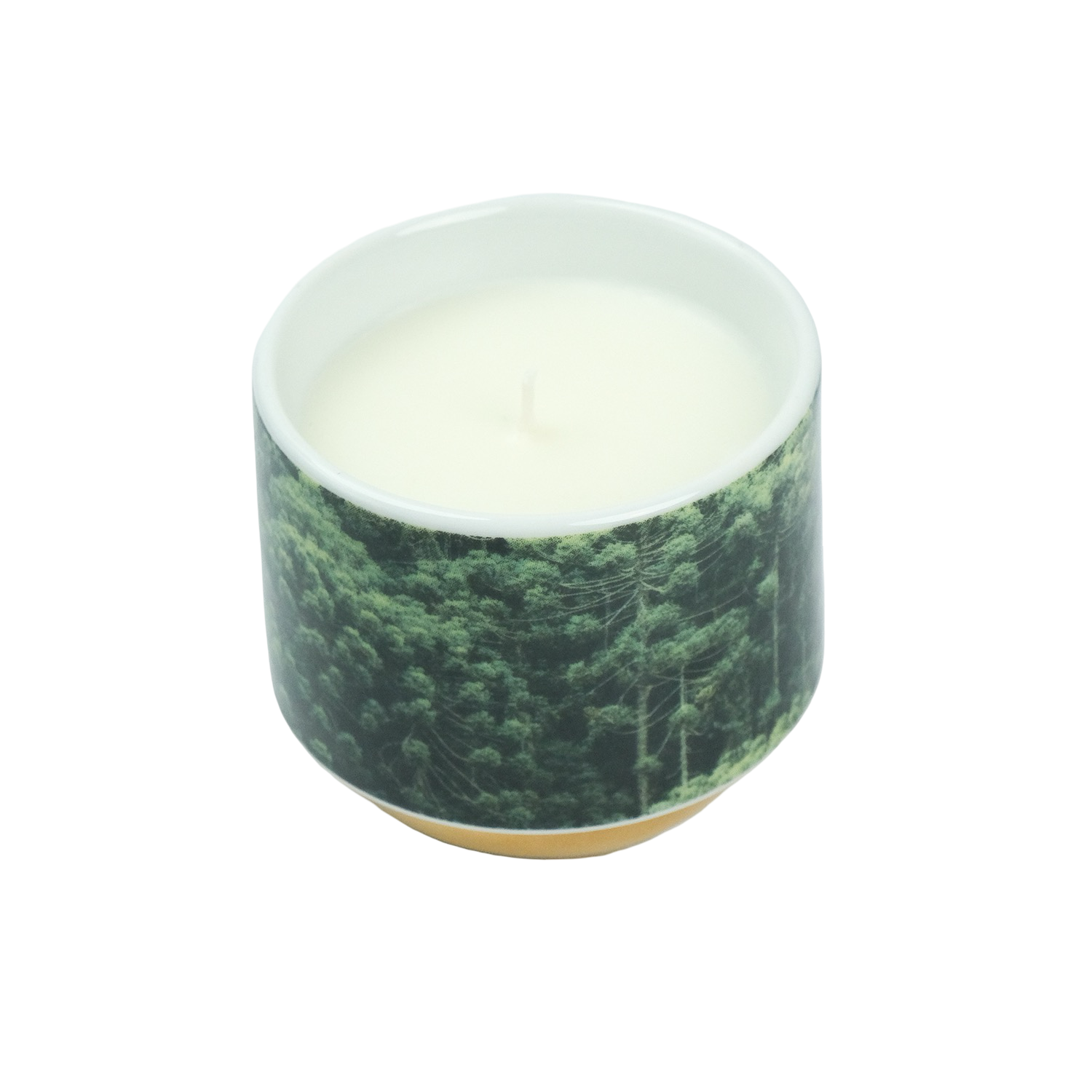 Vela Py’a + Lucas Lenci “ Floresta de Bolso “ P