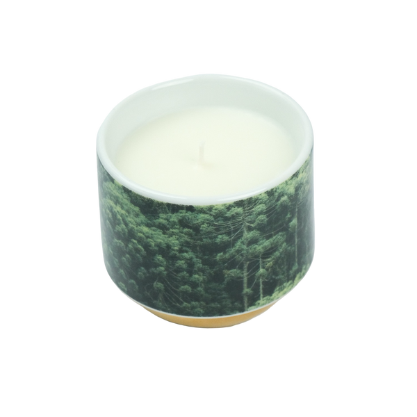 Vela Py’a + Lucas Lenci “ Floresta de Bolso “ P