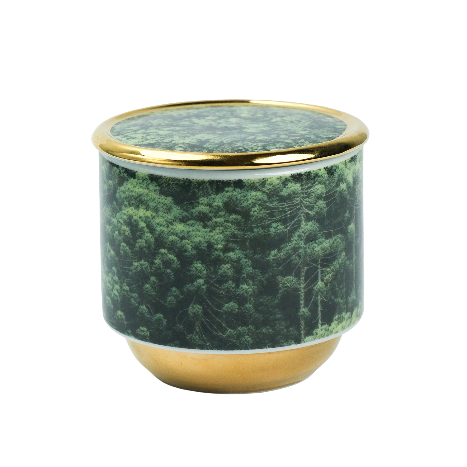 Vela Py’a + Lucas Lenci “ Floresta de Bolso “ P