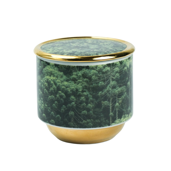 Vela Py’a + Lucas Lenci “ Floresta de Bolso “ P