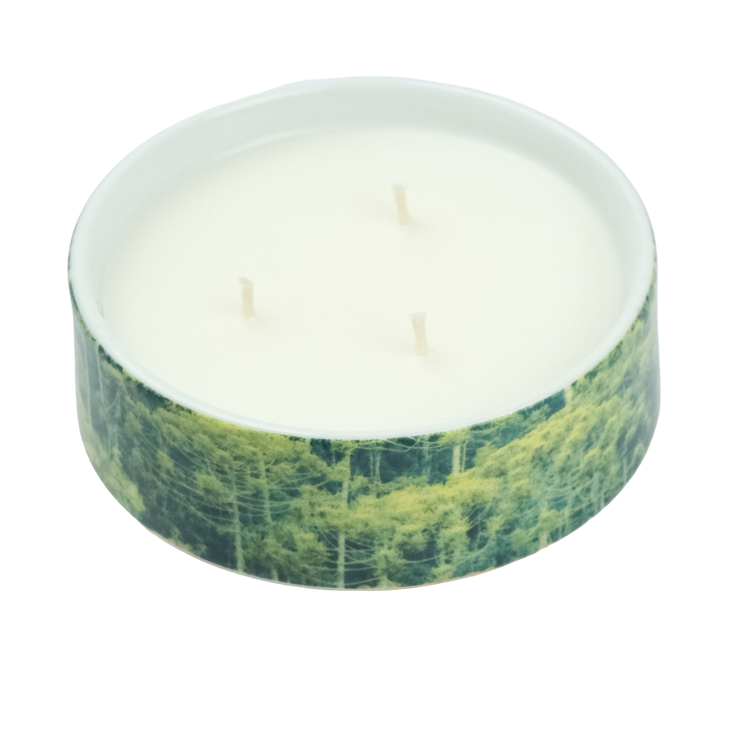 Vela Py’a + Lucas Lenci “ Floresta de Bolso “ G