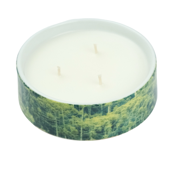 Vela Py’a + Lucas Lenci “ Floresta de Bolso “ G