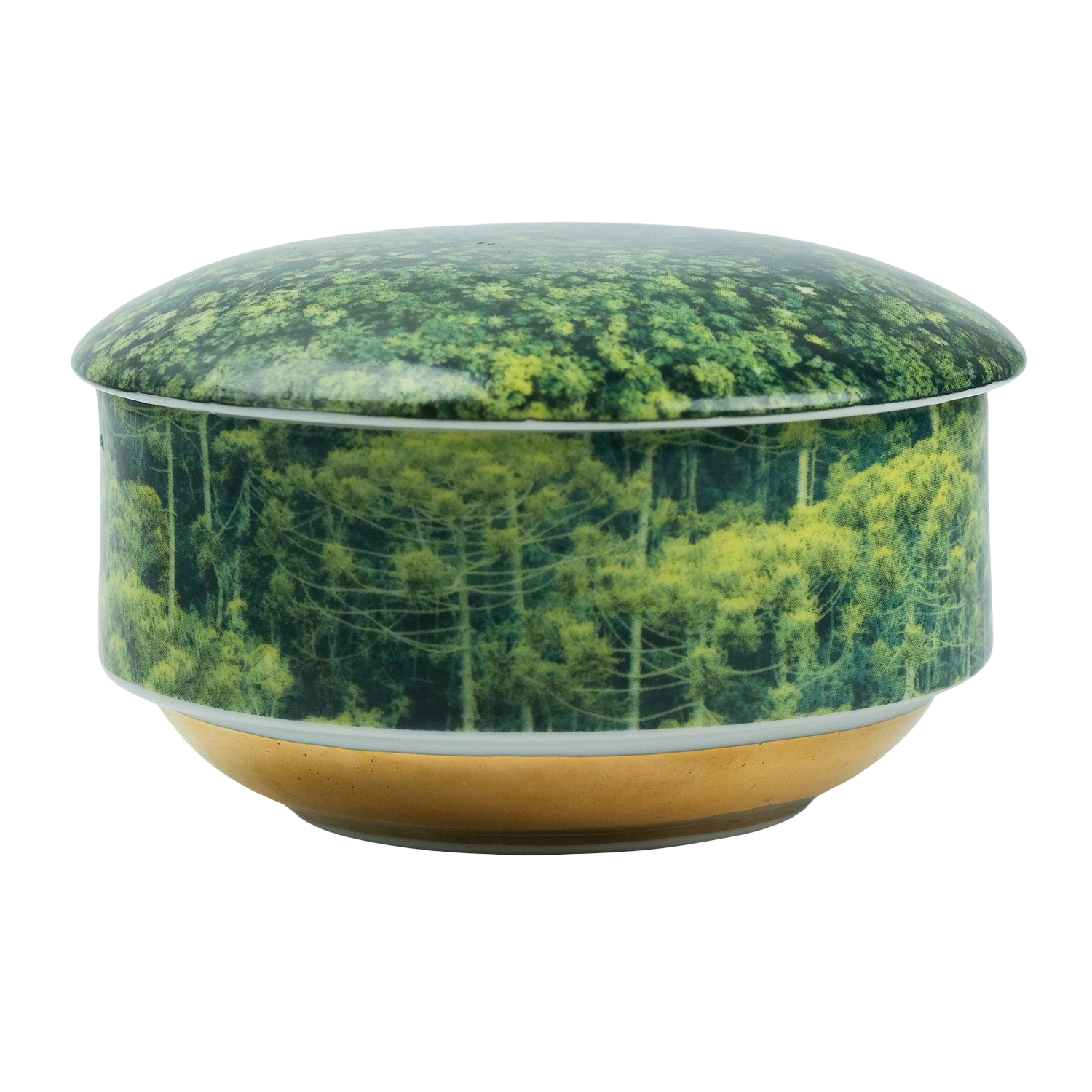 Vela Py’a + Lucas Lenci “ Floresta de Bolso “ G