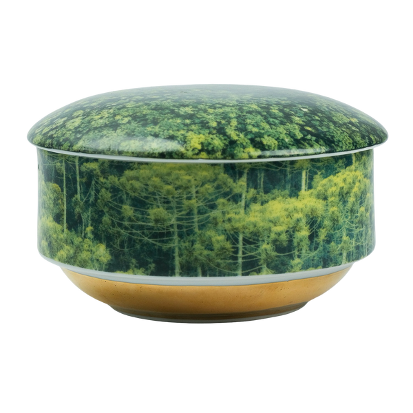 Vela Py’a + Lucas Lenci “ Floresta de Bolso “ G