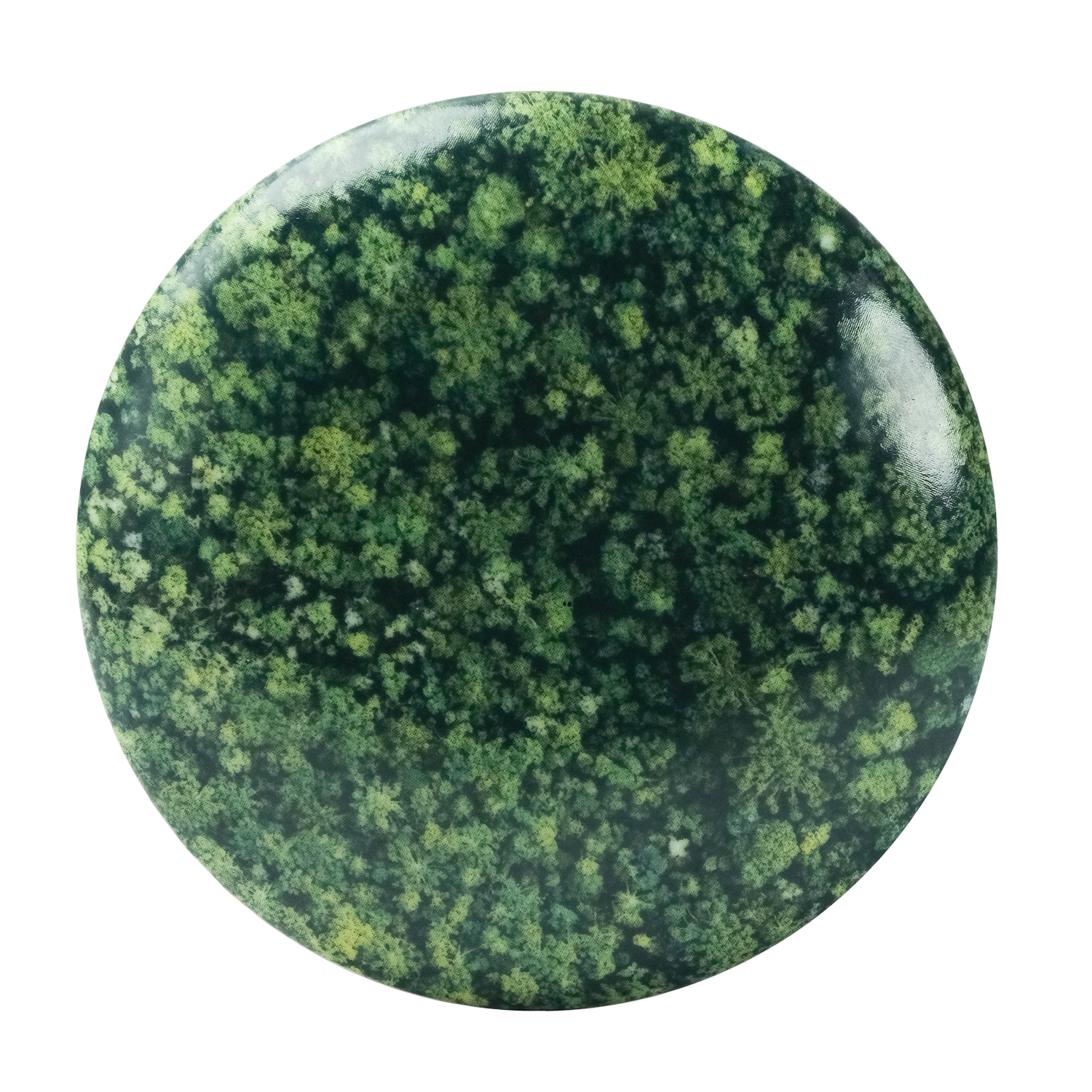 Vela Py’a + Lucas Lenci “ Floresta de Bolso “ G