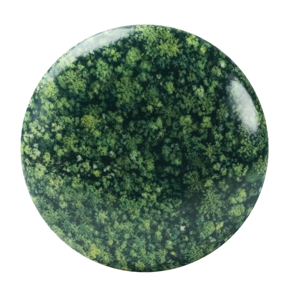 Vela Py’a + Lucas Lenci “ Floresta de Bolso “ G