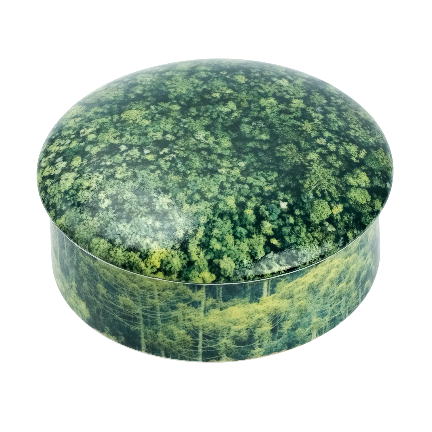 Vela Py’a + Lucas Lenci “ Floresta de Bolso “ G