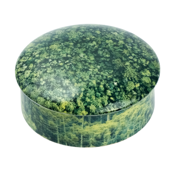 Vela Py’a + Lucas Lenci “ Floresta de Bolso “ G