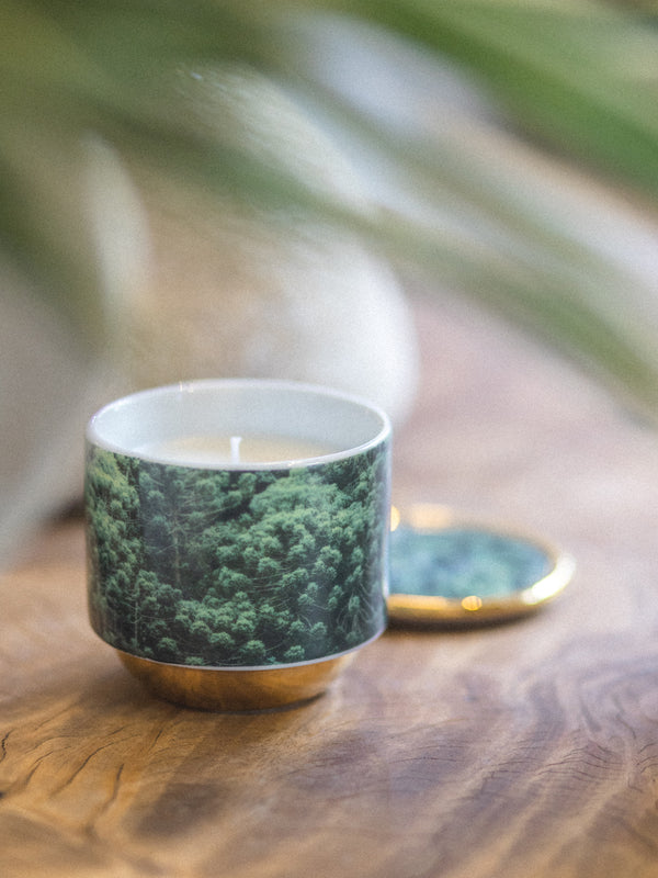 Vela Py’a + Lucas Lenci “ Floresta de Bolso “ P