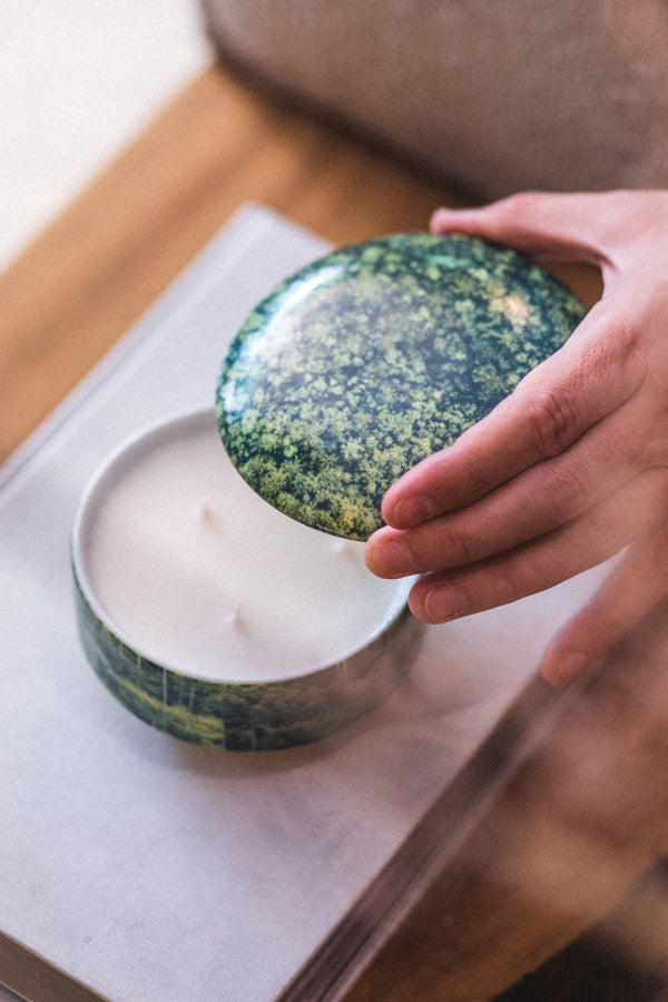 Vela Py’a + Lucas Lenci “ Floresta de Bolso “ G