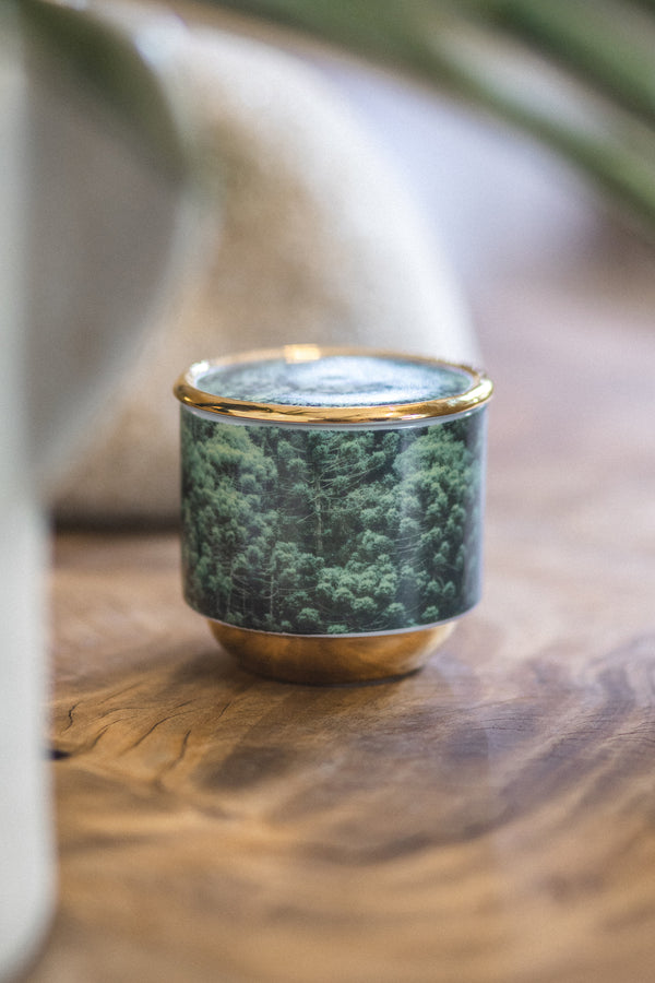 Vela Py’a + Lucas Lenci “ Floresta de Bolso “ P